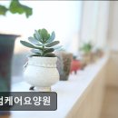남동5 | [인천 남동구 요양원/추천/후기/가격] 존엄케어요양원 5무 요양원으로 안전과 청결 보장