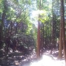 동아대학교의료원 - 10410 | 동아대학교의료원