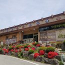 안덕민속한의원 네이버블로그