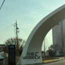 스위트펫 | 여행] 인천 을왕리 더위크앤리조트 더스위트테라스 펫룸 후기 / 인천 애견동반 가능 리조트 및 호텔 추천