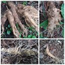 사항농장 이미지