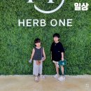 전라도인삼튀김 | 8월 일상 08.01 - 08.10, 전라도 친정살이의 첫 주