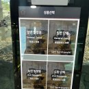 클래식 산책 | 제주 세계자동차&amp;피아노박물관 후기｜클래식카 + 피아노 + 사슴 산책까지 한 번에