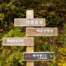 백운산약초