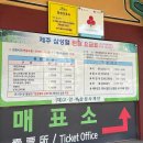시원관광 - 안양시 만안구 덕천로152번길 25 | 제주 삼성혈 관광 솔직 후기