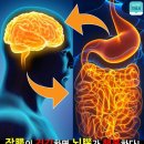 더힐링라이프