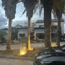 스테이다랑쉬 이미지