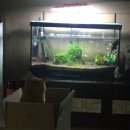 춘천우나리 닭갈비 이미지