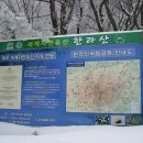 2012년1월3일(화)~5일(목) 제주도 영실~어리목 산행 및 올레길 (11월15일 마감) 이미지