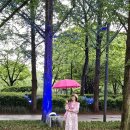비오는날의 수채화 서울숲 이미지