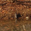 아름다운 머리방 이미지