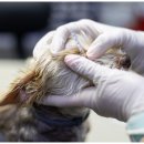 신천동물병원 이미지