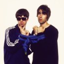 오아시스 이미지