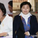 서영교 카카오 검색결과