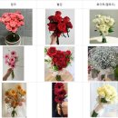 새경산꽃직판장 | W. 경산꽃집 &#39;새경산꽃직판장&#39; 대구 경산 셀프부케만들기