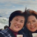 동해민박 이미지