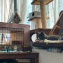 쉼 호스텔 이미지