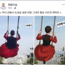 도심숲 이미지