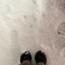 뽀독뽀독 이미지