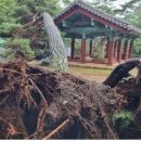 석굴암 화장실 이미지