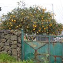 이화호텔(Ewha Hotel) 이미지