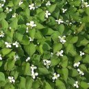 [남부] 생활한자 이미지