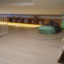 서강탑학원 이미지