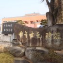 진원면사무소 이미지