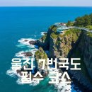 등기산 신석기 유적지 전시관 | 7번국도 여행지 추천 울진 후포 갓바위와 등기산 스카이워크! ✨