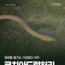 쿠치아