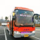 주짓수스웨그