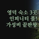 씨티모텔 | 3곳 | 파나크 신축 오션뷰 인피니티풀 | 블루시티펜션 e모텔 가성비 비교 | 여행 스타일별 완벽 분석...