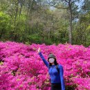 용추계곡(내)4 이미지