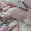 너.애.개 이미지