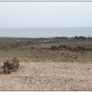 육도복지회관 이미지