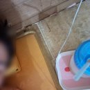 올리브불한증막 이미지