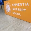 사피엔시아널써리서울