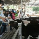 성심목장 이미지