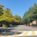 [골목]기체조 이미지