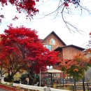 호명입구 이미지