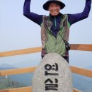 불갑초등학교 | (BAC 지정) 한국의 100대 명산인 불갑산(佛甲山/상사화 축제) 등산 후기(2017. 09. 19.)