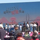 비토휴
