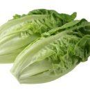 로메인 티스토리