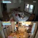 이용녀 카카오 검색결과