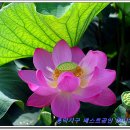 ABLE공인중개사사무소 이미지