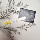 한걸음요양병원 | [임신 후기 8~10개월]-임신 후기 증상과 건강관리, 주의사항 및 준비사항