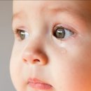 탄현로327번길 이미지