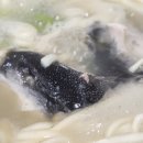 부산복칼국수 이미지