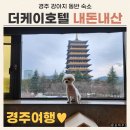 케이호텔 | 경주 애견동반 숙소 더케이호텔 내돈내산 후기 (1) 강아지 동반 정보 &amp; 주의사항 (feat. 카페 케렌시아)