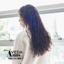 안스헤어 이미지